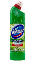 Ev Tipi - Domestos 810 gr